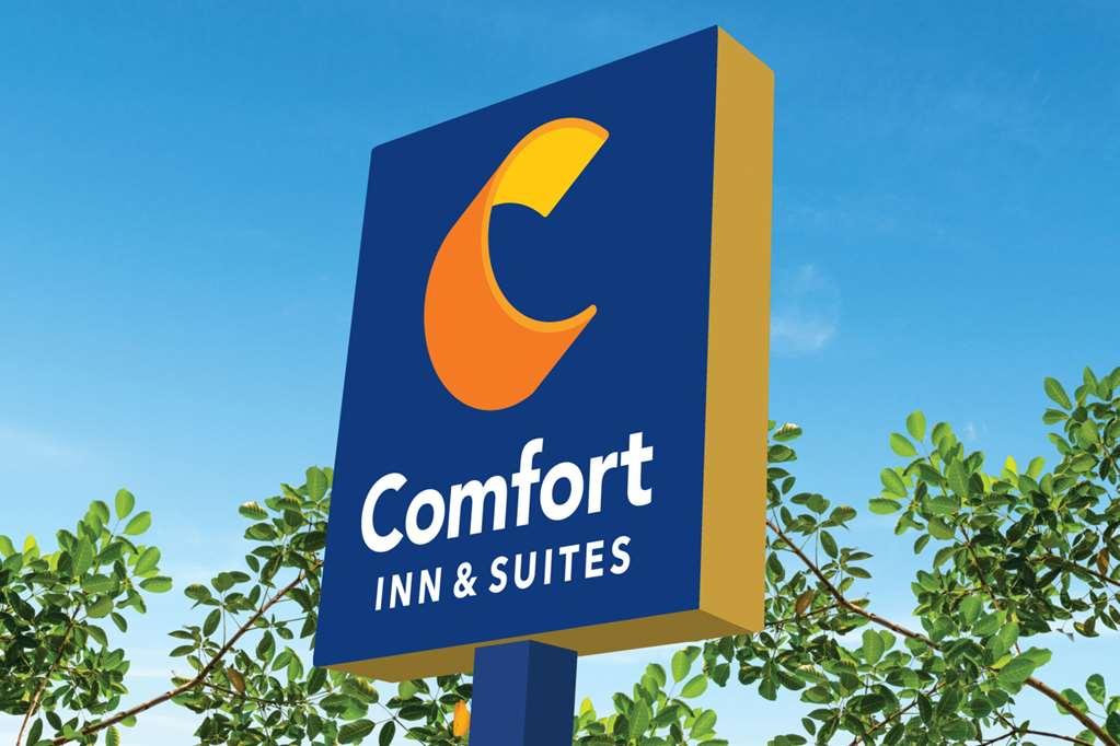 Comfort Inn & Suites Houma Exterior photo